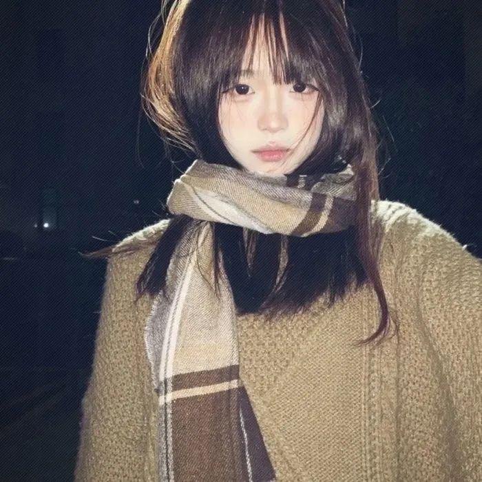 梅花档案